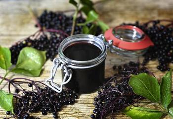 Bodza megfázás elleni tea